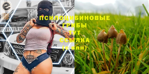 прущая мука Бугульма