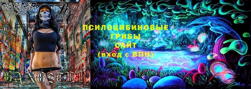 Галлюциногенные грибы MAGIC MUSHROOMS  Волхов 